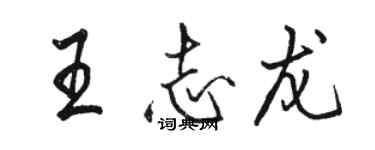 駱恆光王志龍行書個性簽名怎么寫