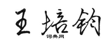 駱恆光王培鈞行書個性簽名怎么寫