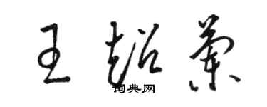 駱恆光王超蘭草書個性簽名怎么寫