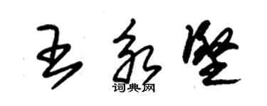 朱錫榮王永堅草書個性簽名怎么寫