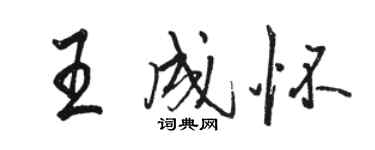 駱恆光王成懷行書個性簽名怎么寫