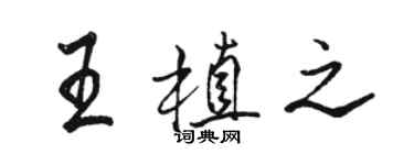 駱恆光王植之行書個性簽名怎么寫