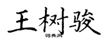 丁謙王樹駿楷書個性簽名怎么寫