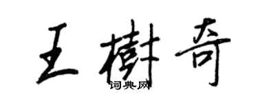 王正良王樹奇行書個性簽名怎么寫