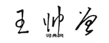 駱恆光王帥曾草書個性簽名怎么寫