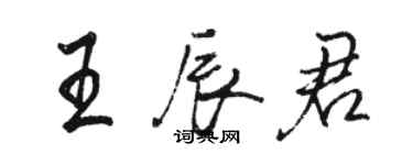 駱恆光王辰君行書個性簽名怎么寫