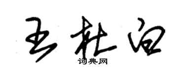 朱錫榮王杜白草書個性簽名怎么寫