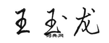 駱恆光王玉龍行書個性簽名怎么寫