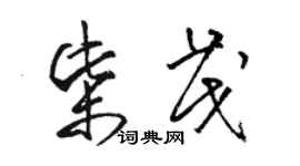 駱恆光柴茂草書個性簽名怎么寫