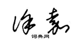 朱錫榮徐嘉草書個性簽名怎么寫