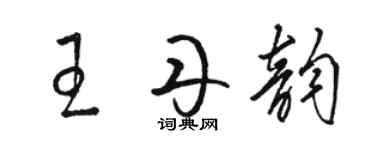 駱恆光王丹韻草書個性簽名怎么寫