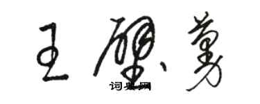 駱恆光王壁蔓草書個性簽名怎么寫