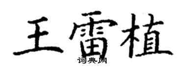 丁謙王雷植楷書個性簽名怎么寫