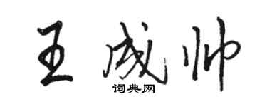 駱恆光王成帥行書個性簽名怎么寫