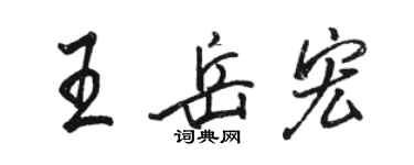 駱恆光王岳宏行書個性簽名怎么寫