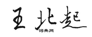 駱恆光王北起行書個性簽名怎么寫