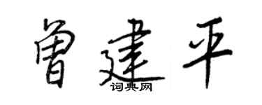 王正良曾建平行書個性簽名怎么寫