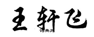 胡問遂王軒飛行書個性簽名怎么寫