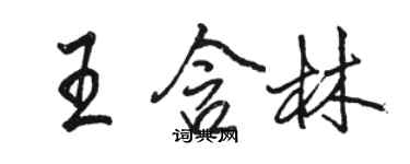 駱恆光王含林行書個性簽名怎么寫