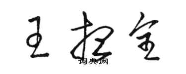 駱恆光王想全草書個性簽名怎么寫