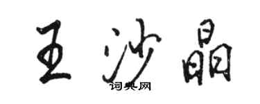 駱恆光王沙晶行書個性簽名怎么寫