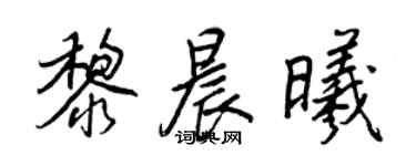 王正良黎晨曦行書個性簽名怎么寫