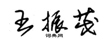 朱錫榮王振茂草書個性簽名怎么寫