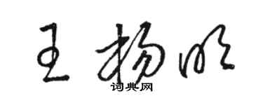 駱恆光王楊明草書個性簽名怎么寫