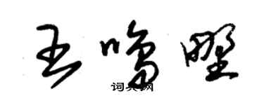 朱錫榮王鳴野草書個性簽名怎么寫