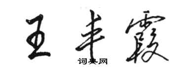 駱恆光王豐霞行書個性簽名怎么寫