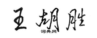 駱恆光王胡勝行書個性簽名怎么寫