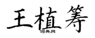 丁謙王植籌楷書個性簽名怎么寫