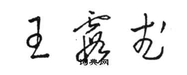 駱恆光王霞武草書個性簽名怎么寫