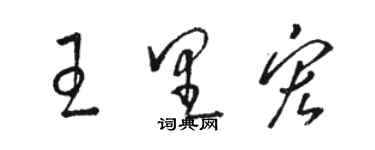 駱恆光王里宏草書個性簽名怎么寫