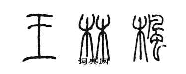 陳墨王林楓篆書個性簽名怎么寫