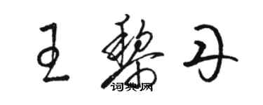 駱恆光王黎丹草書個性簽名怎么寫