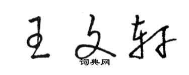 駱恆光王文軒草書個性簽名怎么寫