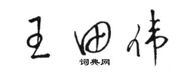 駱恆光王田偉草書個性簽名怎么寫