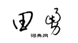 梁錦英田勇草書個性簽名怎么寫