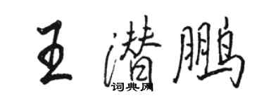 駱恆光王潛鵬行書個性簽名怎么寫