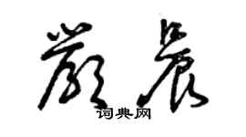 曾慶福嚴晨草書個性簽名怎么寫