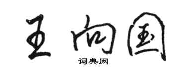 駱恆光王向國行書個性簽名怎么寫