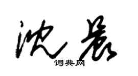 朱錫榮沈晨草書個性簽名怎么寫