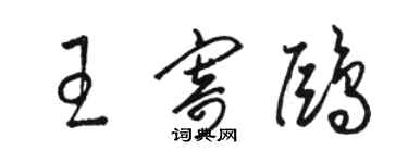 駱恆光王寄鷗草書個性簽名怎么寫