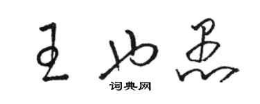 駱恆光王也愚草書個性簽名怎么寫