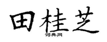 丁謙田桂芝楷書個性簽名怎么寫