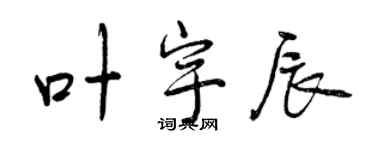 曾慶福葉宇辰行書個性簽名怎么寫