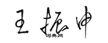 駱恆光王振申草書個性簽名怎么寫