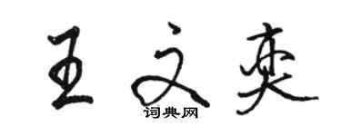 駱恆光王文奕行書個性簽名怎么寫