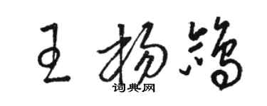 駱恆光王楊鴿草書個性簽名怎么寫